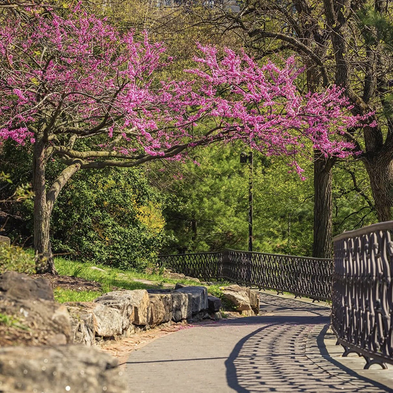 Philadelphia Walking Trail